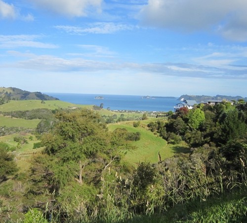 Centennial Hights (800x450)