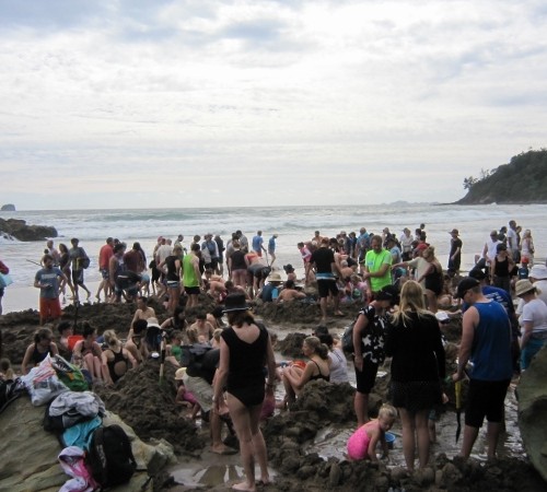 Hot water beach (800x450)