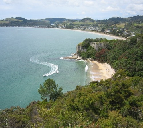 Lonely Bay from Shakespeare Cliff