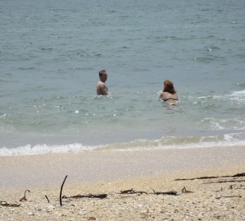 Pacific swimmers in Lonely Bay