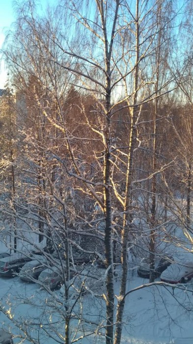 WP_20141225_10_50_01_Pro