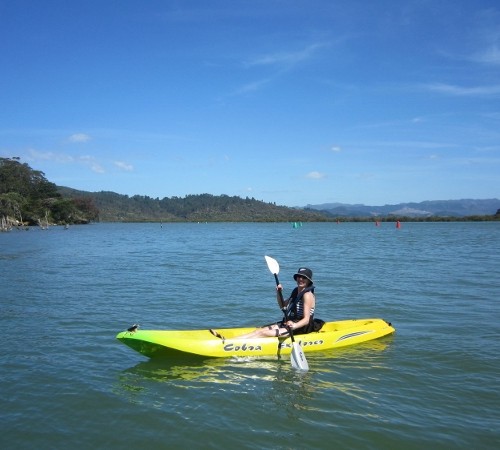 Melomassa 2 (800x450)