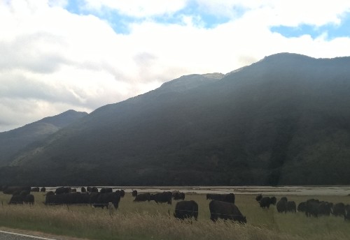 PicsArt_5_1_2015 23_26_40