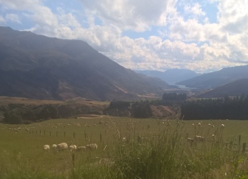 PicsArt_5_1_2015 23_28_07